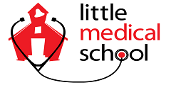 Little Medical School