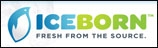 ice-born.com